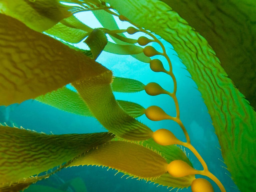 story-list-2-pc.f17bc09a (Demo) (Demo)