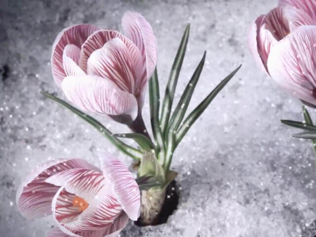 story-list-3-pc.1edd6be3 (Demo) (Demo)