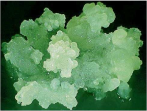 圖片2 (Demo) (Demo)