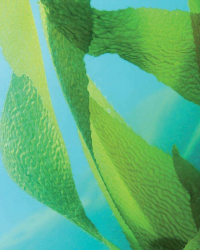 圖片3 (Demo) (Demo) 圖片3 (Demo) (Demo)