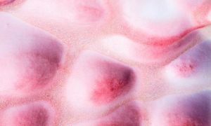 療程1_4 (Demo) (Demo)